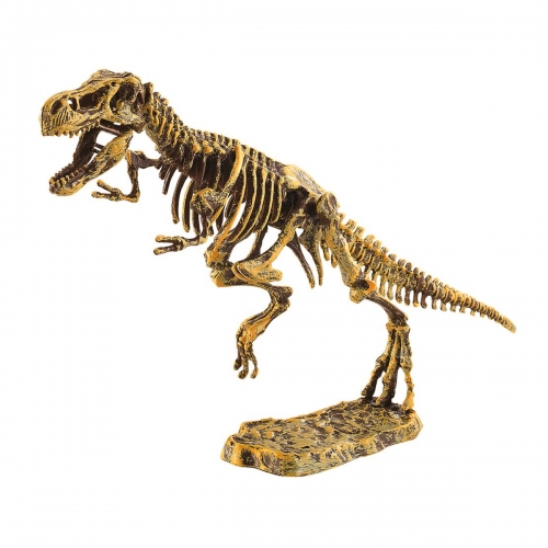 Figurka Dinozaura i Szkielet Dinozaura, Zestaw Kreatywny, Wykopaliska, T-Rex