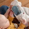 Książeczka Edukacyjna, Słoń, z kolekcji: Natura