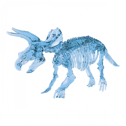 Wykopaliska, Świecący Szkielet Dinozaura - Niebieski, Zestaw naukowy