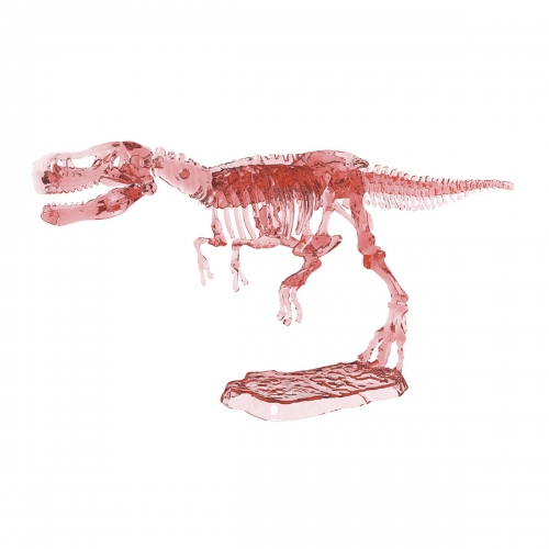 Wykopaliska, Świecący Szkielet Dinozaura - Czerwony, Zestaw naukowy