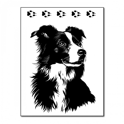 Naprasowanki, Naplamki, Termo Naklejki na Ubrania DTF - Pies 3, Border Collie