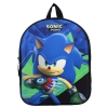 Mały Plecak 3D, Sonic, Dziki